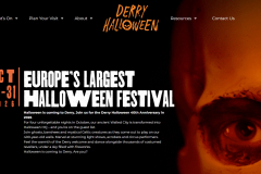 Tourism & Events Festival Website Design & SEO